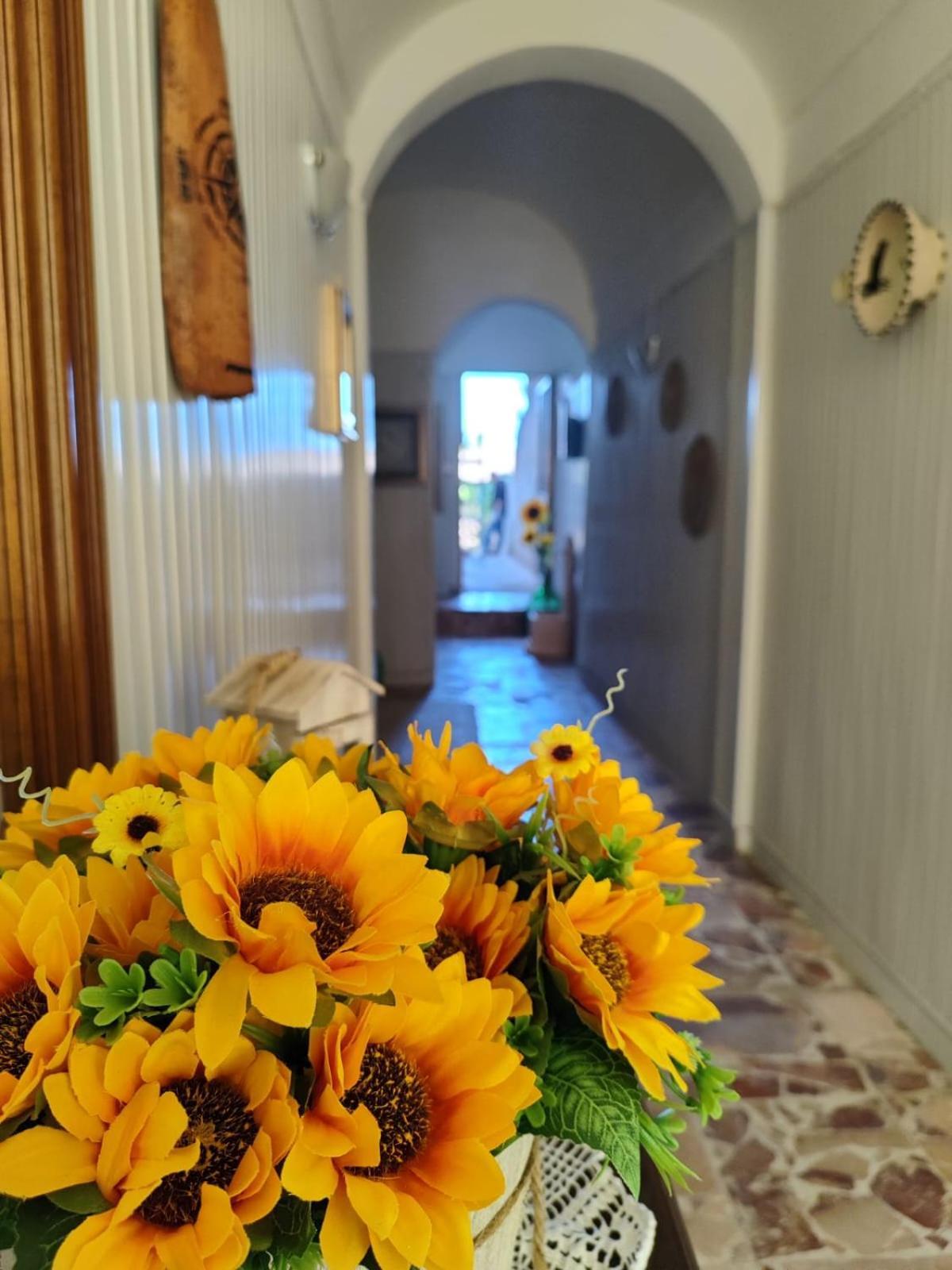 Casa Vacanze Con Giardino I Girasoli - Cin It 09006 - 9 C 2000 R4042- Sorso Buitenkant foto