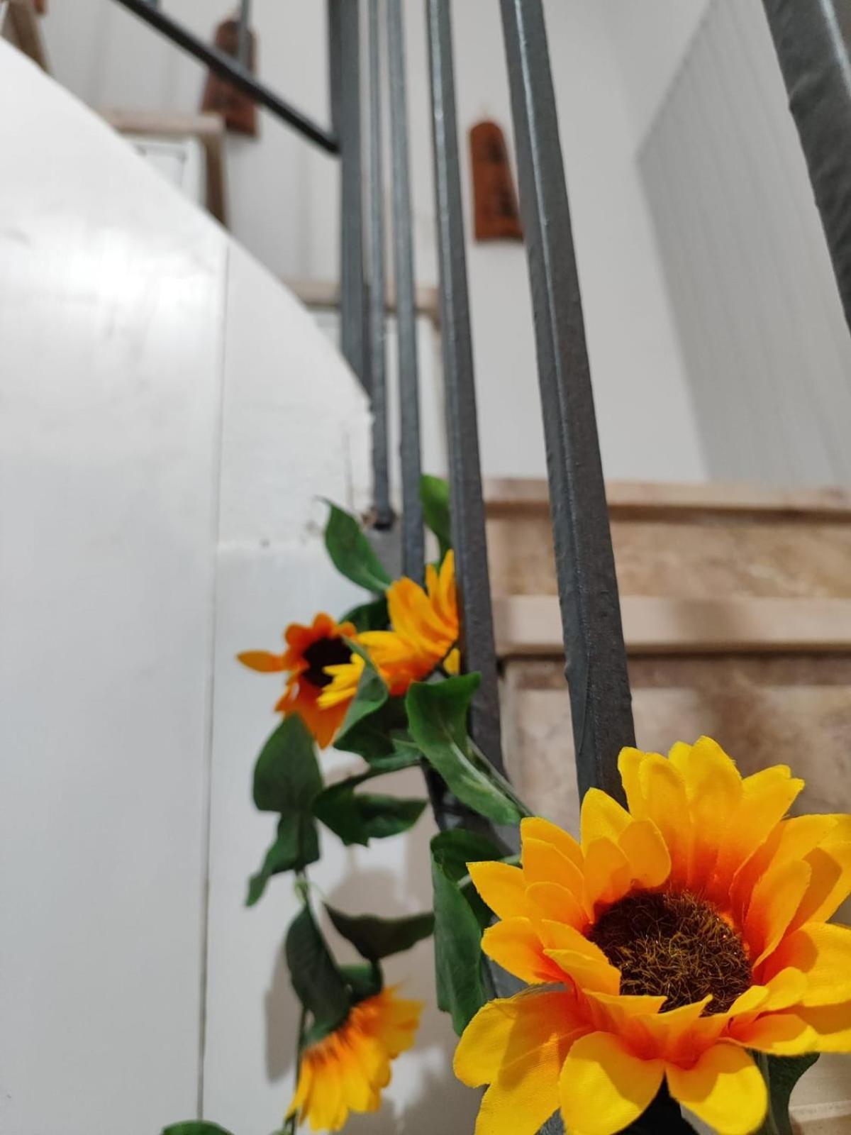 Casa Vacanze Con Giardino I Girasoli - Cin It 09006 - 9 C 2000 R4042- Sorso Buitenkant foto